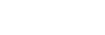 Salvador Caetano